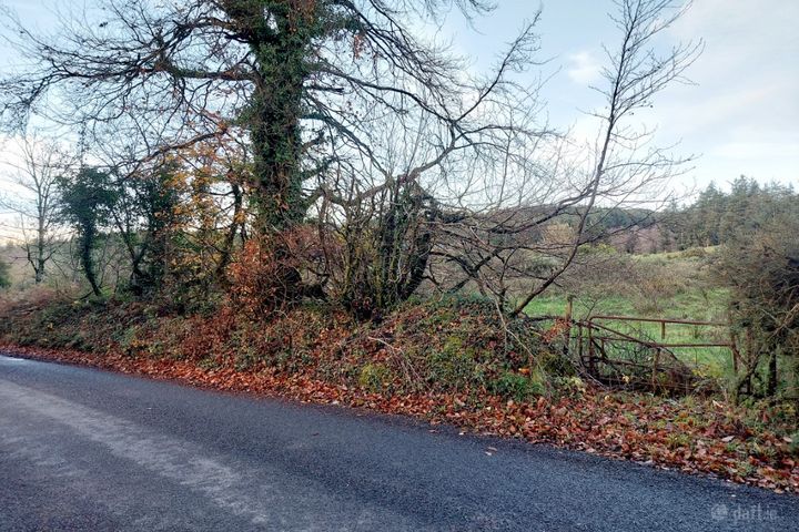 Cooleycasey, Sixmilebridge, Co. Clare