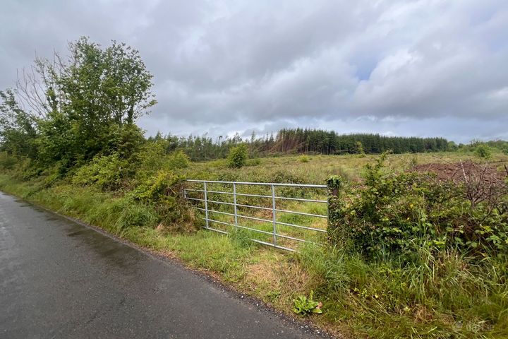 Site at Cloonshee, Ahascragh, Co. Galway, H53Y2E5