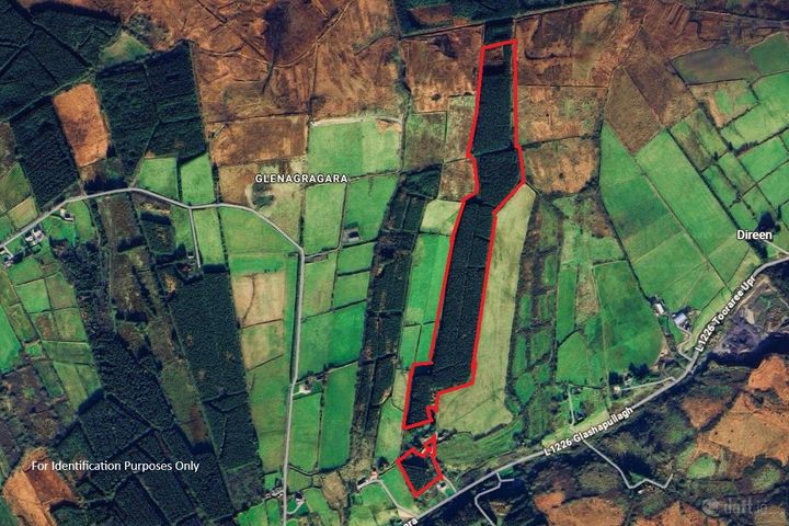 Forestry & Lands Glenagragara, Athea, Co. Limerick