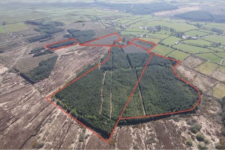 Forestry Lands Scart, Knockaunnaglashy, Co. Kerry