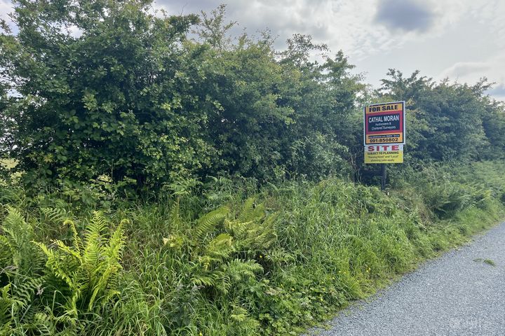 Currafaireen, Monivea, Co. Galway