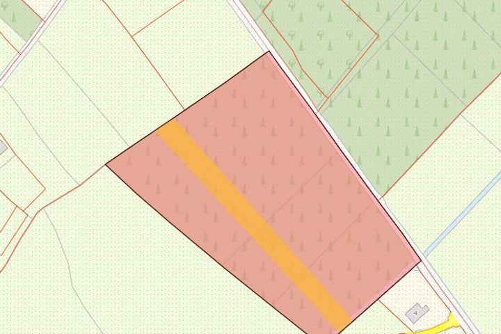 Forestry, Callinafercy, Milltown, Co. Kerry