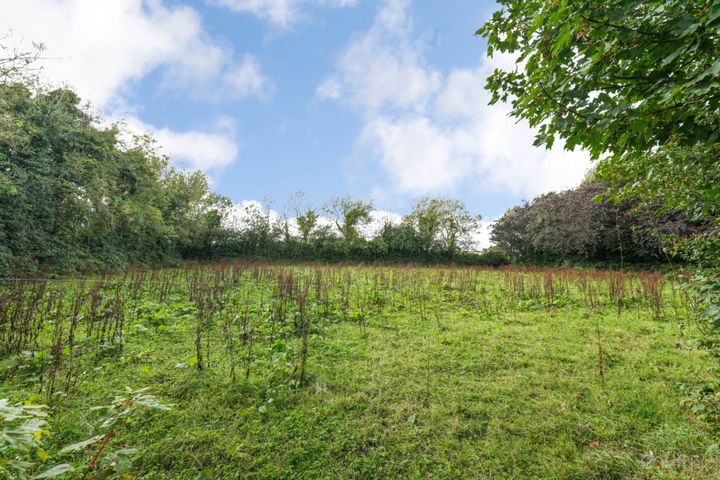 Colvinstown, Tara, Co. Meath, C15HF62