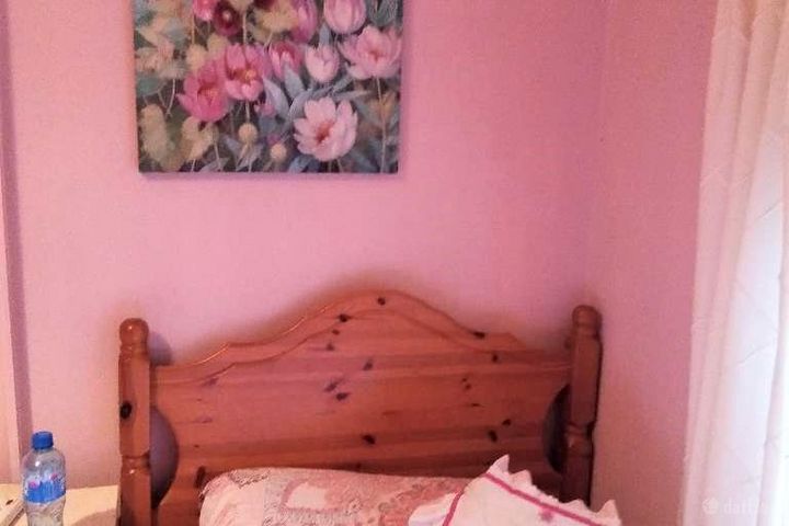 Castle Court, Carrick-on-Suir, Co. Waterford