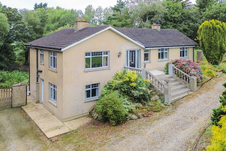 Dunbin, Knockbridge, Co. Louth, A91A990