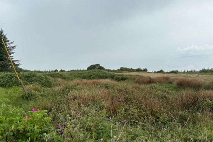 Ballybreen, Kilfenora, Kilfenora, Co. Clare, V95K0D8