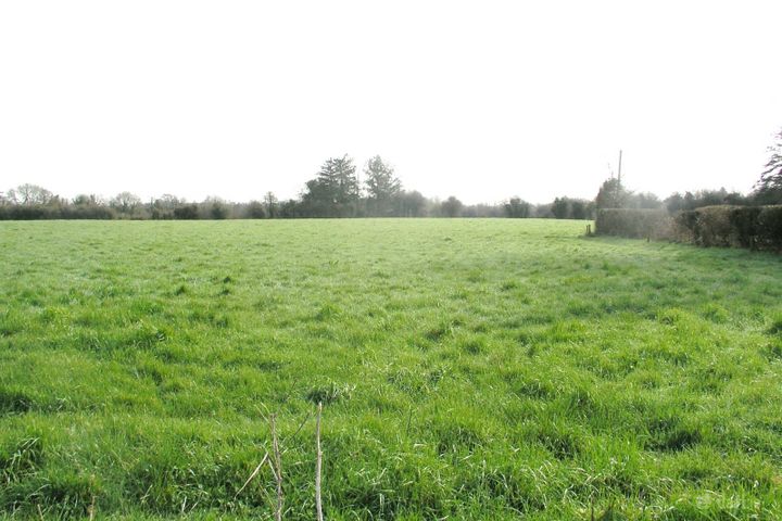 Ballagharahin, Errill, Co. Laois