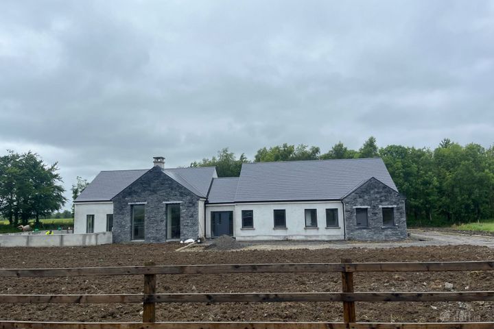 Ballymacegan, Lorrha, Portland, Co. Tipperary, E45XY79