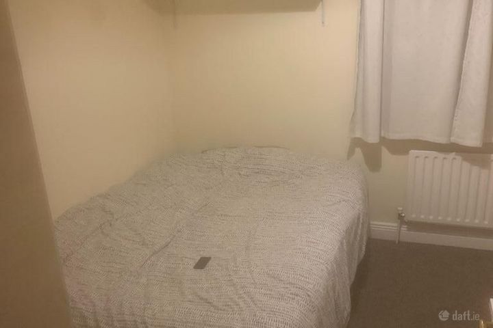 Brocan Wood, Monasterevin, Co. Kildare