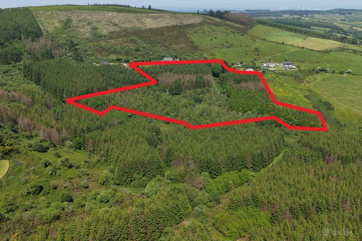 Ballyine, Carrigkerry, Athea, Co. Limerick