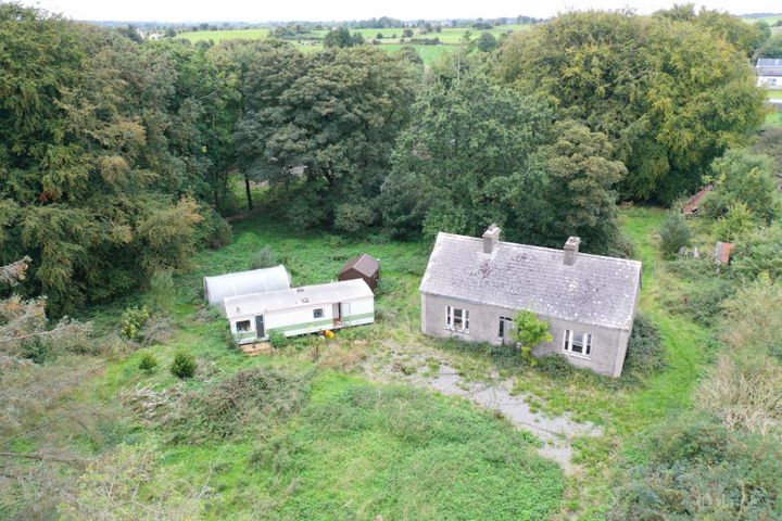 Lisheen, Williamstown, Glenamaddy, Co. Galway, F45P119
