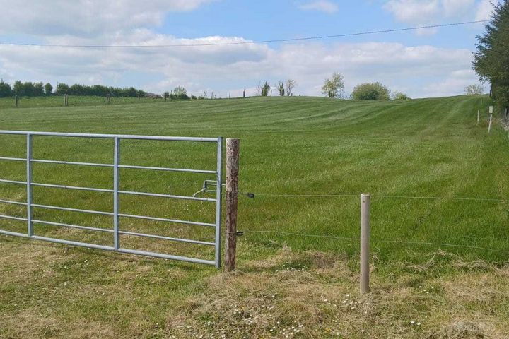 Curraghsallagh, Lisacul, Co. Roscommon, F45P896