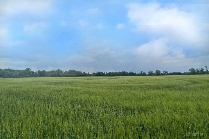 Painestown, Beauparc, Navan, Co. Meath