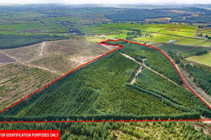 Glennamucklagh, Newmarket, Co. Cork