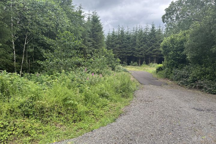 Drumbess, Killeshandra, Co. Cavan