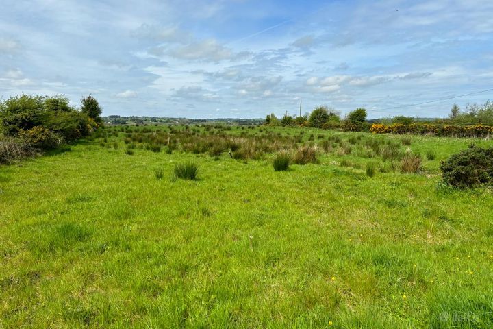 C. 48 acres in Mountain Forthill, Ballyhaunis, Co. Mayo