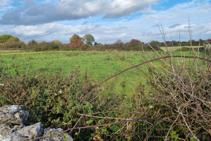 Morenane, Askeaton, Co. Limerick