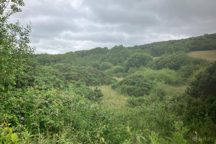 6.94 Acres At Ballysallagh, Hacketstown, Co. Carlow, R93E5Y9