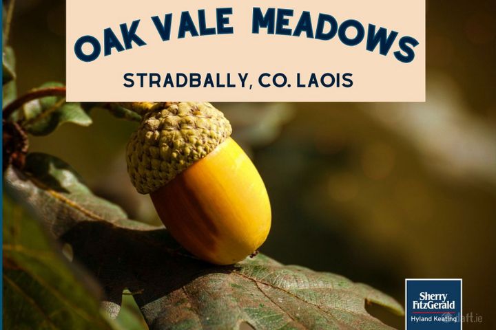 Oak Vale Meadows, Stradbally, Co. Laois