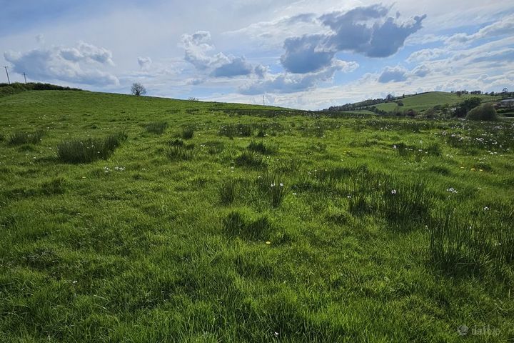 Moylemuck, Lisnalong, Aughnamullen, Co. Monaghan