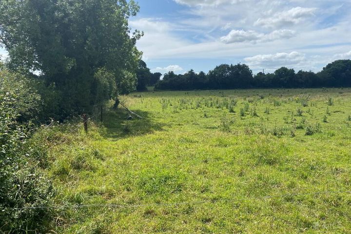 Charleville, Ardee, Co. Louth