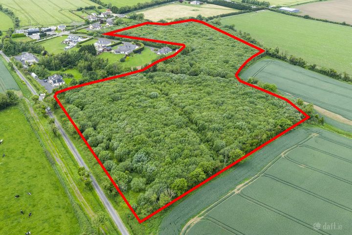 C. 12.18 Acres At Ellistown, Ballyboughal, Co. Dublin