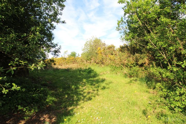 Currinara, Foxford, Co. Mayo