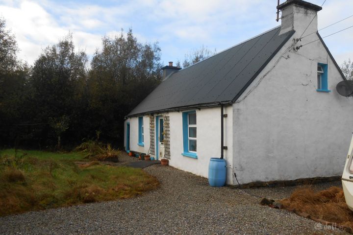 Tullynapurtlin, Ballinaglera, Dowra, Co. Leitrim, N41T259