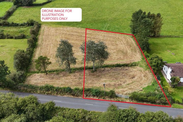 Murroe Wood, Murroe, Co. Limerick