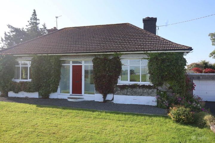 Dublin Road, Roscrea, Co. Tipperary, E53A389