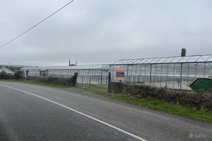 Ralph Hill, Ralph, Fethard-On-Sea, Co. Wexford, Y34F622