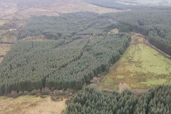 Poulduff, Birr, Co Offaly, Offaly