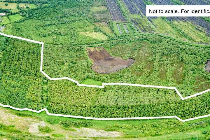 Derries, Edenderry, Co. Offaly