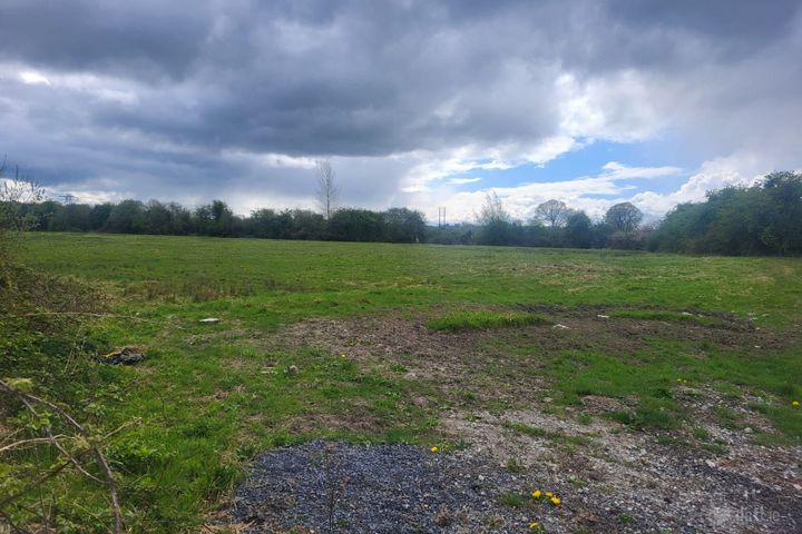 Lemonfield, Crecora, Patrickswell, Co. Limerick, V94W1WX