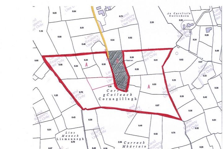 Cornagillagh, Drumsna, Carrick-On-Shannon, Co. Leitrim, N41P8D9