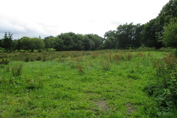 Castlebank, Ardnacrusha, Co. Clare - View 2