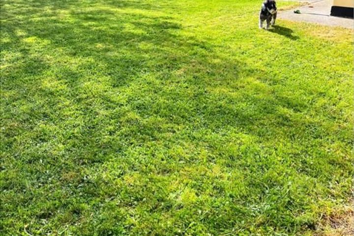 Court View, Callan, Co. Kilkenny