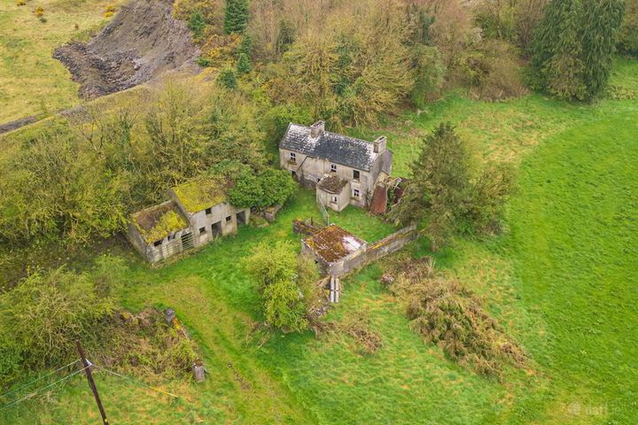 Derelict Residence & 7.5 Acres, Oldcastle, Co. Meath, Oldcastle, Co. Meath