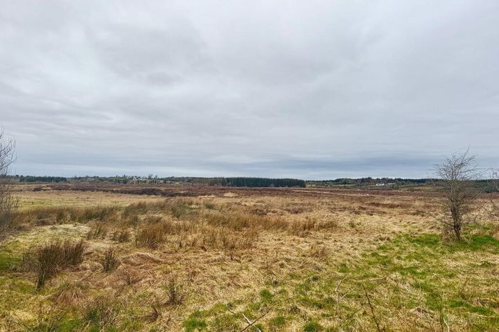 177 Acres Castlerea, Co. Roscommon