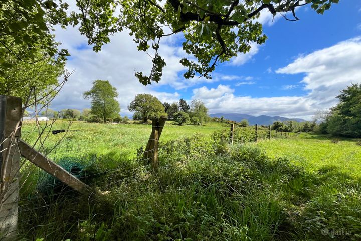 Farranaspig, Aghadoe, Killarney, V93 A2X0, Aghadoe, Co. Kerry
