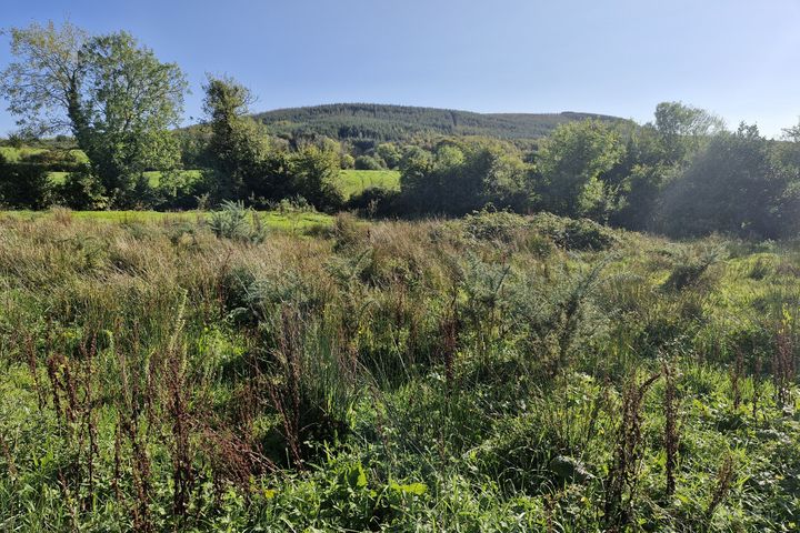 Ballinteskin, New Ross, Co. Wexford