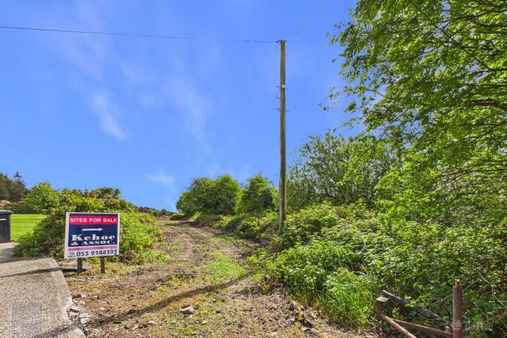 Site ‘B’ at Colestown, Coolree, Co. Wexford