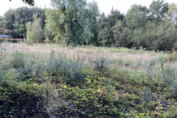 Meelick, Whitegate, Co. Clare