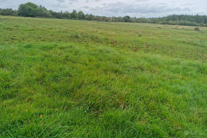 Moher, Ballinasloe, Co. Galway