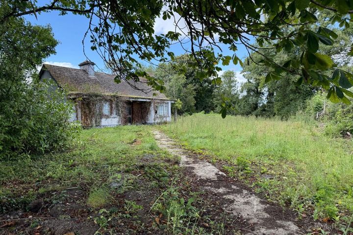 Drumnalassan, Ballaghaderreen, Co. Roscommon, F45KV20