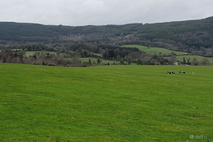 Site 0.75 acre Ballylusk, Ashford, Co. Wicklow