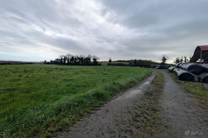 c.38 Acres at Derrybrick, Knockalough, Co. Clare
