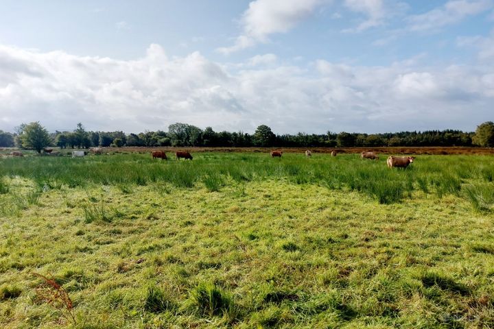 Ayle, Feakle, Co. Clare