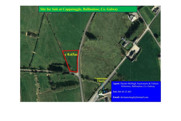 Cappataggle, Ballinasloe, Co. Galway