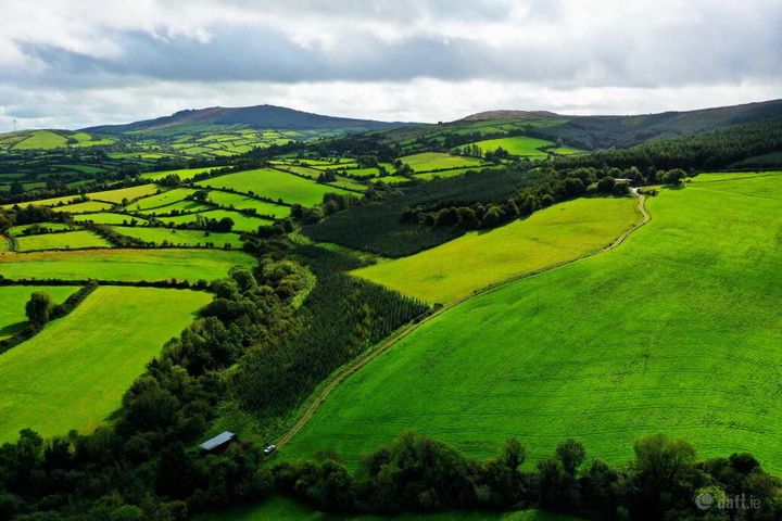 Lisnageenly, Dolla, Co. Tipperary